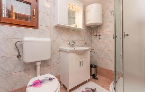 a bathroom with a toilet and a sink and a shower at Cozy Apartment In Krusevo With Wifi in Anić