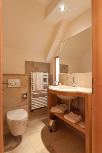 a bathroom with a sink and a toilet at Appart'hôtels La Maison du Tigre in Stutzheim