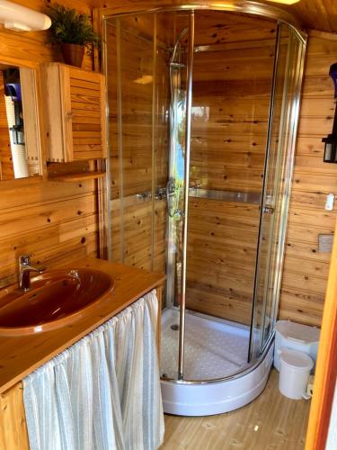 a bathroom with a shower and a sink at Bergen/Sotra:Waterfront cabin(s).Boat.Fish.Jacuzzi in Haganes