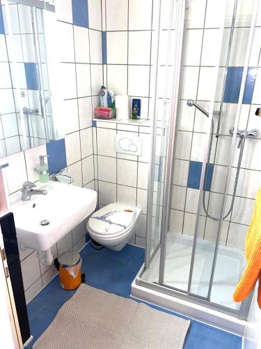e bagno con doccia, servizi igienici e lavandino. di Günstig und Einfaches Studio auf dem Bauernhof a Zuoz