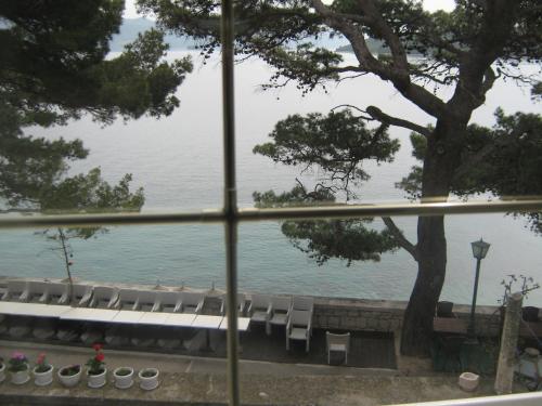 Gallery image of Apartment Josip in Korčula