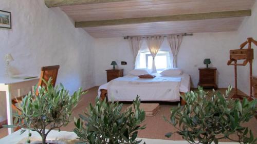 a bedroom with a bed and a window at Le Mas de la Roche in Montbrison-sur-Lez