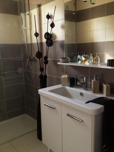 une salle de bain avec un lavabo et une douche dans l'établissement La Bastide de l'Issole, à Besse-sur-Issole