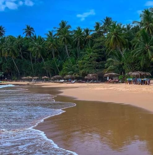 a beach with chairs and palm trees and the ocean at Deshan Homestay & Restaurant in Tangalle