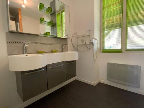 a bathroom with a sink and a mirror at MOULIN DE L'HOSTE in Larzac
