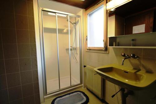 uma casa de banho com um chuveiro e um lavatório. em Hotel-Restaurant Alpina em Innertkirchen