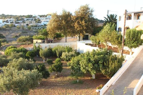 Gallery image of Theofilos Appartements in Livadi
