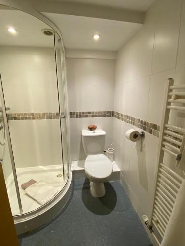 een kleine badkamer met een toilet en een douche bij The Carriers Arms in Codford Saint Mary
