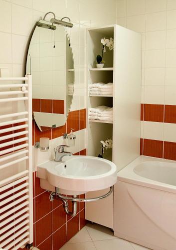 a bathroom with a sink and a mirror at Apartments Bohinjskih 7 in Bohinj