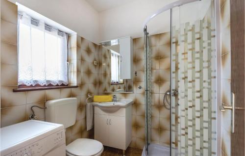 uma casa de banho com um chuveiro, um WC e um lavatório. em Stunning Home In Brtonigla With Kitchen em Brtonigla