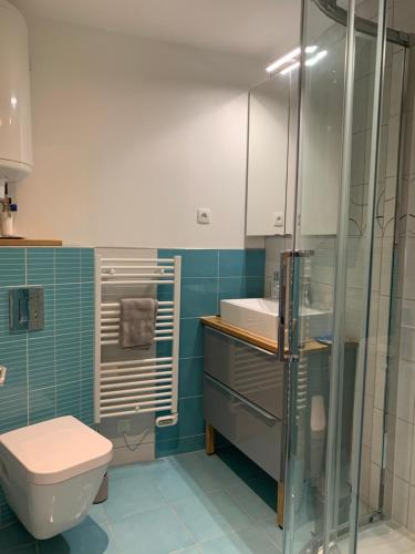 La salle de bains est pourvue de toilettes et d'une douche en verre. dans l'établissement Le moulin des 2 roues, à Meung-sur-Loire