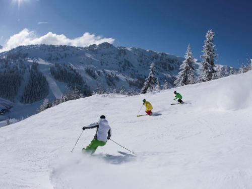 Holiday flat near four ski lifts in Mayrhofen
