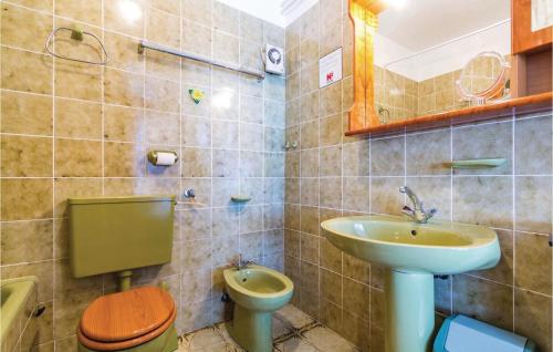 uma casa de banho com um lavatório e um WC em Awesome Apartment In Kolavici With 2 Bedrooms And Wifi em Veprinac