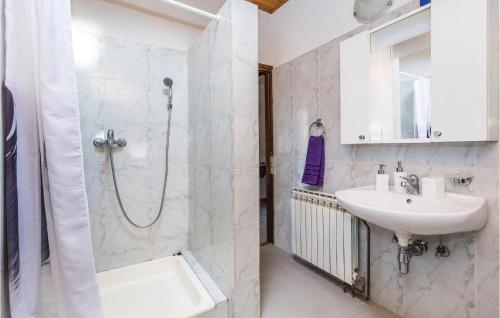 a bathroom with a shower and a sink at Stunning Apartment In Rukavac With 2 Bedrooms, Wifi And Outdoor Swimming Pool in Rukavac