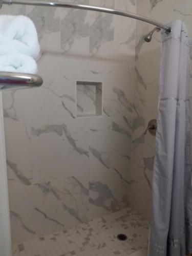 布朗斯维尔Deluxe Inn & Suites的浴室配有淋浴帘和一些毛巾