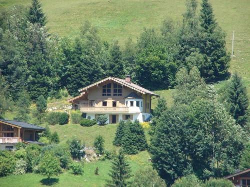 フィーホーフェンにあるChalet in Saalbach Hinterglemm in ski areaの木立の丘の上の家