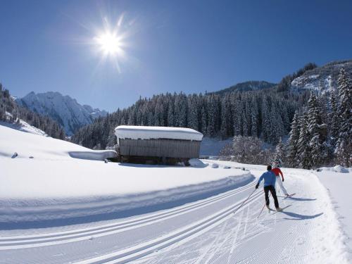 Apartment in Mayrhofen near Ski Lifts