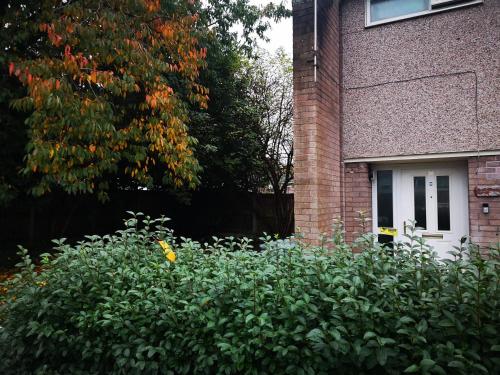 a bush in front of a house and a building at Nice Residential Within Easy Reach Of Town in Manchester