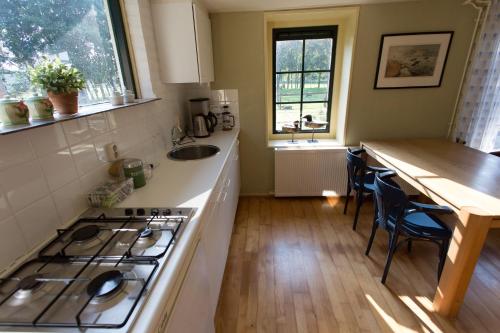 a kitchen with a stove and a counter top at Blier Herne in Gorredijk