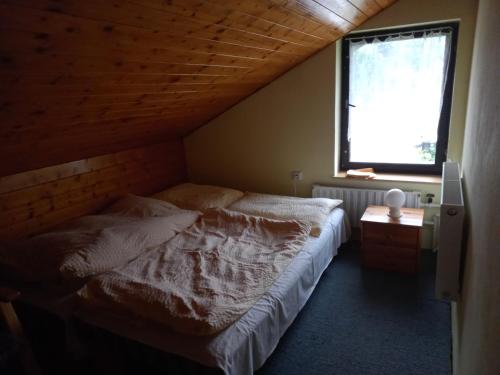 a bedroom with a bed and a window at Apartmán u Kynských in Horní Lánov