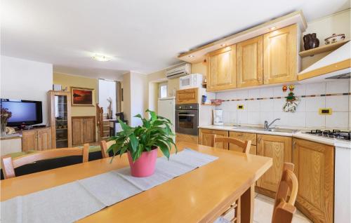 Kuchyň nebo kuchyňský kout v ubytování Apartment Brionska Croatia