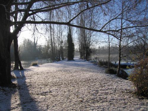 a snow covered path with trees in the background at Hôtel L'ile Du Saussay in Itteville