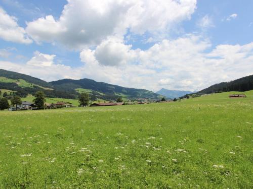a field of green grass with a bench in the distance at Chalet in Kufstein near Ski School in Niederndorferberg