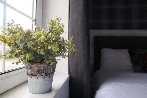 a plant in a vase sitting on a window sill at Harbourside Hotel in Irvine