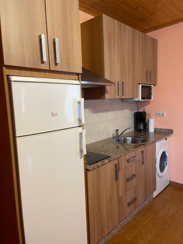 a kitchen with a white refrigerator and a sink at Apartment Lecer 4 in Porta