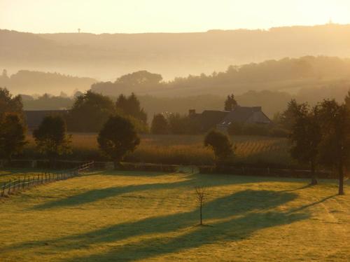 a field with trees and a house in the distance at Appartement Hoeve Espewey - Leisure only in Hombourg
