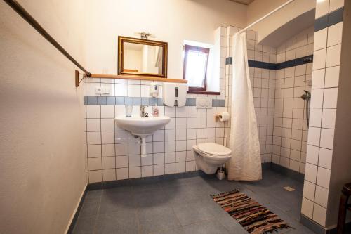 bagno con lavandino e servizi igienici di Penzion Mníšek a Stříbřec