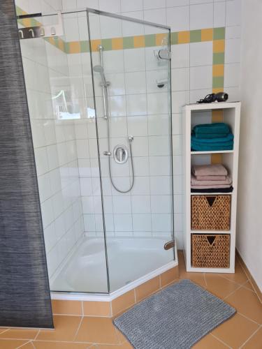 een douche met een glazen deur in de badkamer bij Apartment Familie Grünauer in Sankt Johann im Pongau