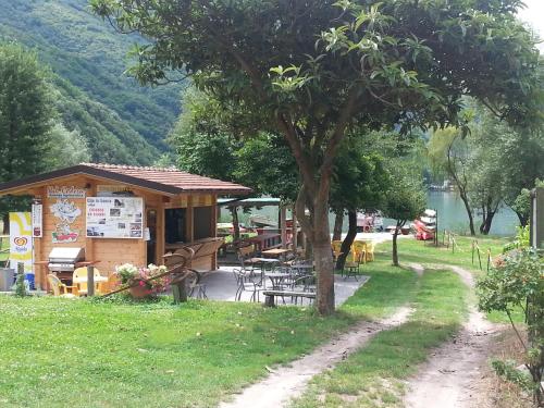 a small building with a tree in the grass at Agriturismo Val Codera in Verceia