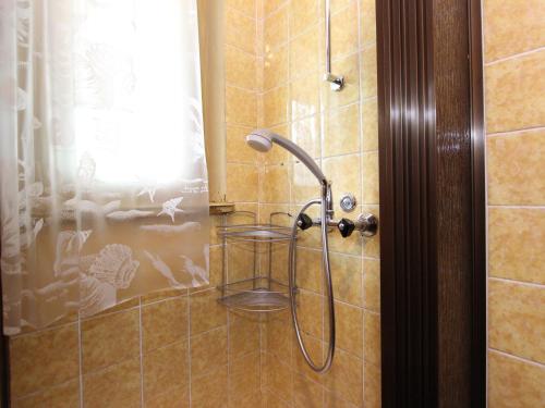 a shower with a shower head in a bathroom at Holiday Home Ferienwohnung Erika in Neukirchen am Großvenediger