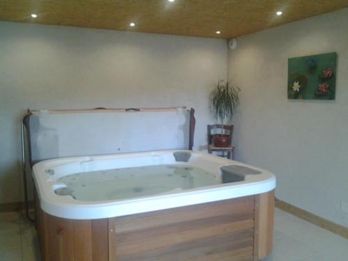 Cette chambre dispose d'une grande baignoire. dans l'établissement Au Nid d'hirondelles, à Saint-André-de-Chalençon