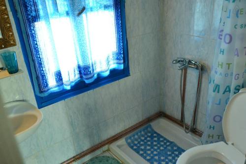 a bathroom with a shower and a toilet and a window at Fanari Stone House in Komotini