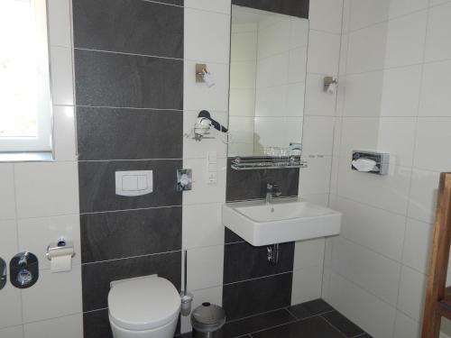 La salle de bains est pourvue de toilettes et d'un lavabo. dans l'établissement Ohlenforst Vis a Vis, à Wassenberg