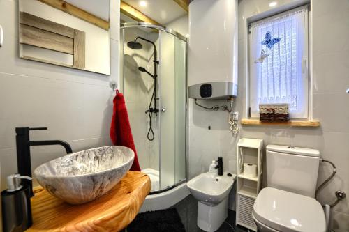 a bathroom with a large bowl sink and a toilet at Księżycowe Domki w Bieszczadach in Baligród