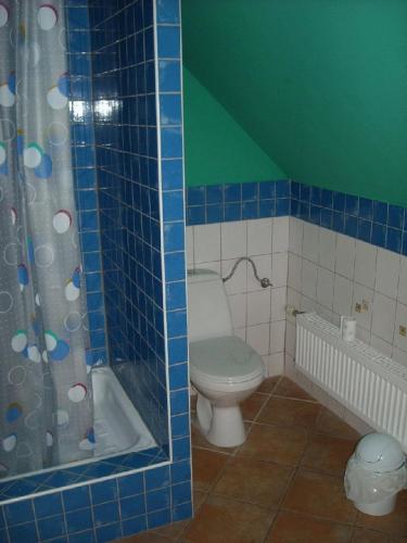 a bathroom with a toilet and a shower at Rezydencja Święty Spokój in Wisła