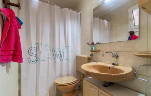 y baño con lavabo, aseo y cortina de ducha. en Nice Home In Labin With Wifi, en Drenje