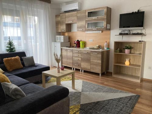 ein Wohnzimmer mit einem Sofa und einer Küche in der Unterkunft Origo Apartman in Eger