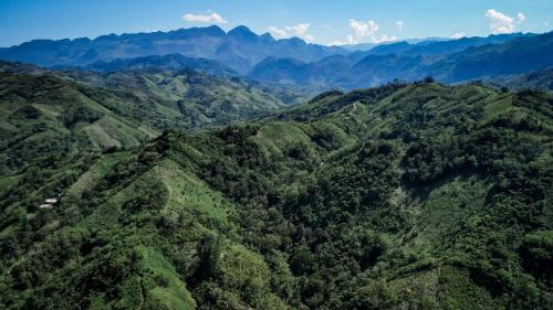 an aerial view of a lush green forest at Ch'i Bocól Community Hostel in Lanquín