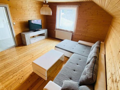 a living room with a couch and a tv at Holiday apartment in Salchau near ski area 