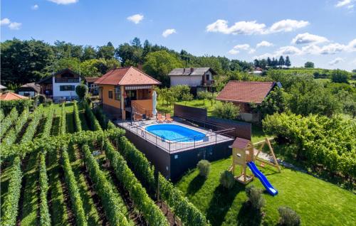 an aerial view of a house with a swimming pool in a vineyard at Awesome Home In Jalzabet With Kitchen in Jalžabet