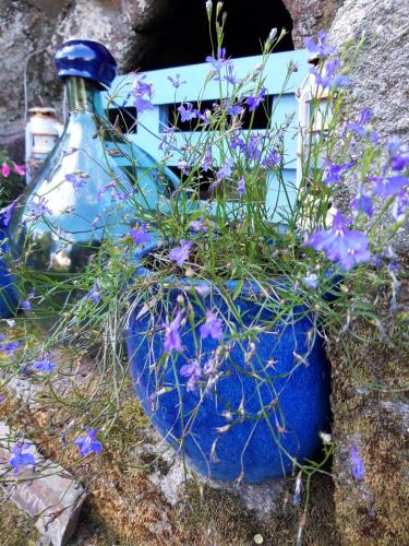 a blue planter with purple flowers in it at Gîte La Grange in Langoëlan