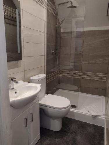 a bathroom with a toilet and a sink and a shower at The Wheatsheaf Inn in Atherstone