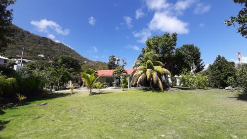 a yard with palm trees in front of a house at Village Le Pre in Terre-de-Haut