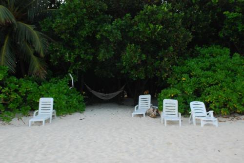 three chairs and a dog sitting in the sand at PRIV Fodhdhoo in Fodhdhoo