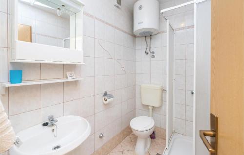 a white bathroom with a toilet and a sink at Beautiful Apartment In Vidalici With 1 Bedrooms And Wifi in Kustići