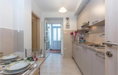 d'une cuisine avec un comptoir avec des plaques de cuisson. dans l'établissement 1 Bedroom Gorgeous Apartment In Rijeka, à Rijeka